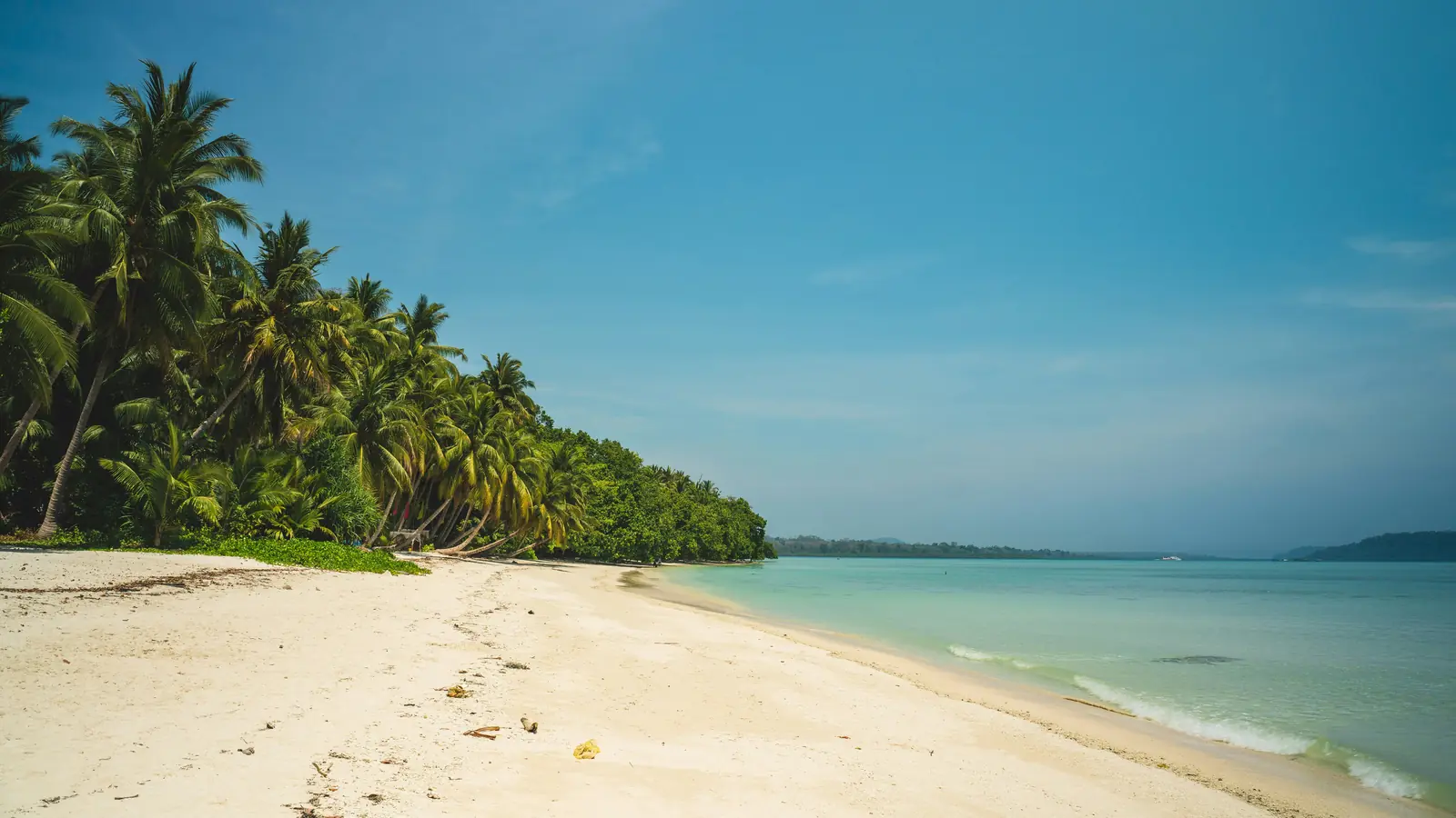Palm trees leaning over an empty white-sand beach and clear turquoise water in the Andaman Islands