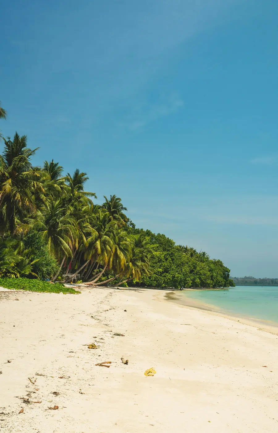 Palm trees leaning over an empty white-sand beach and clear turquoise water in the Andaman Islands