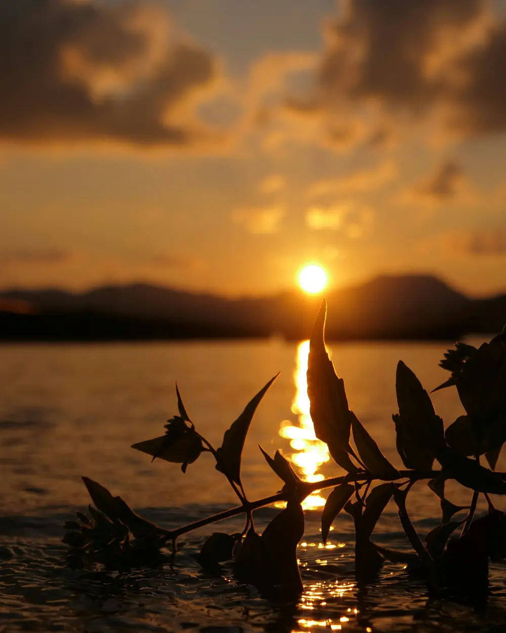 the sun is setting over a body of water
