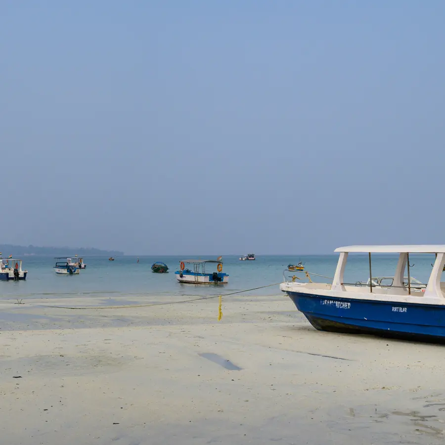 a blue and white boat sitting on top of a sandy beach