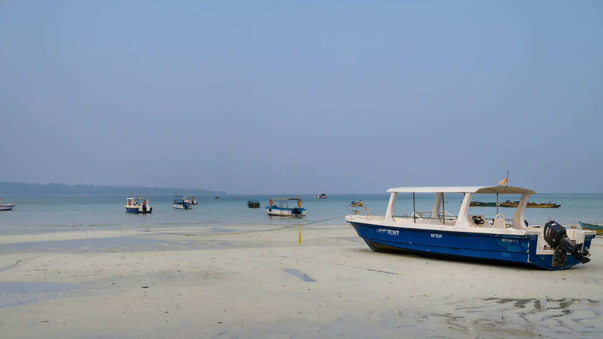 a blue and white boat sitting on top of a sandy beach