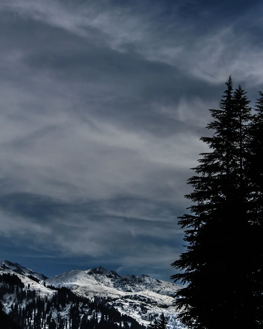 Breathtaking winter view of snow-capped mountains and pine trees in Manali, India