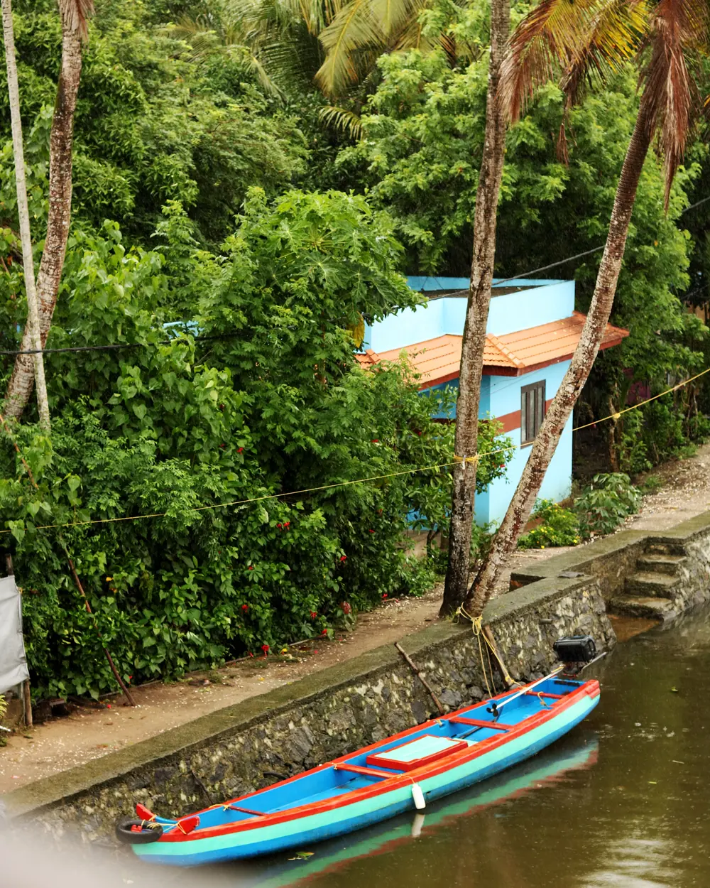 Vibrant blue canoe on Alappuzha canal, surrounded by lush tropical greenery, Kerala, India