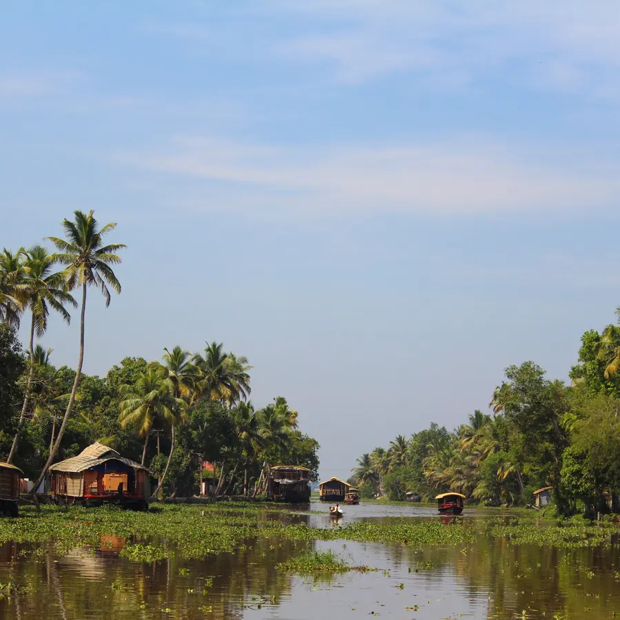 Peaceful view of Kerala backwaters with houseboats, palm trees under clear skies