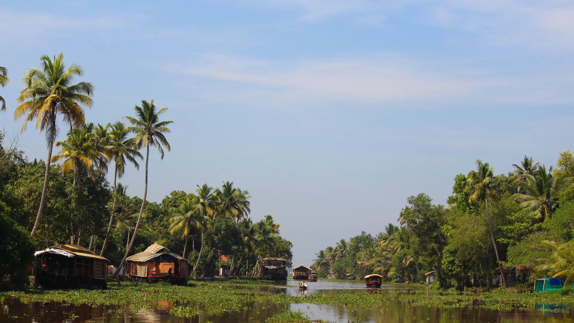 Peaceful view of Kerala backwaters with houseboats, palm trees under clear skies