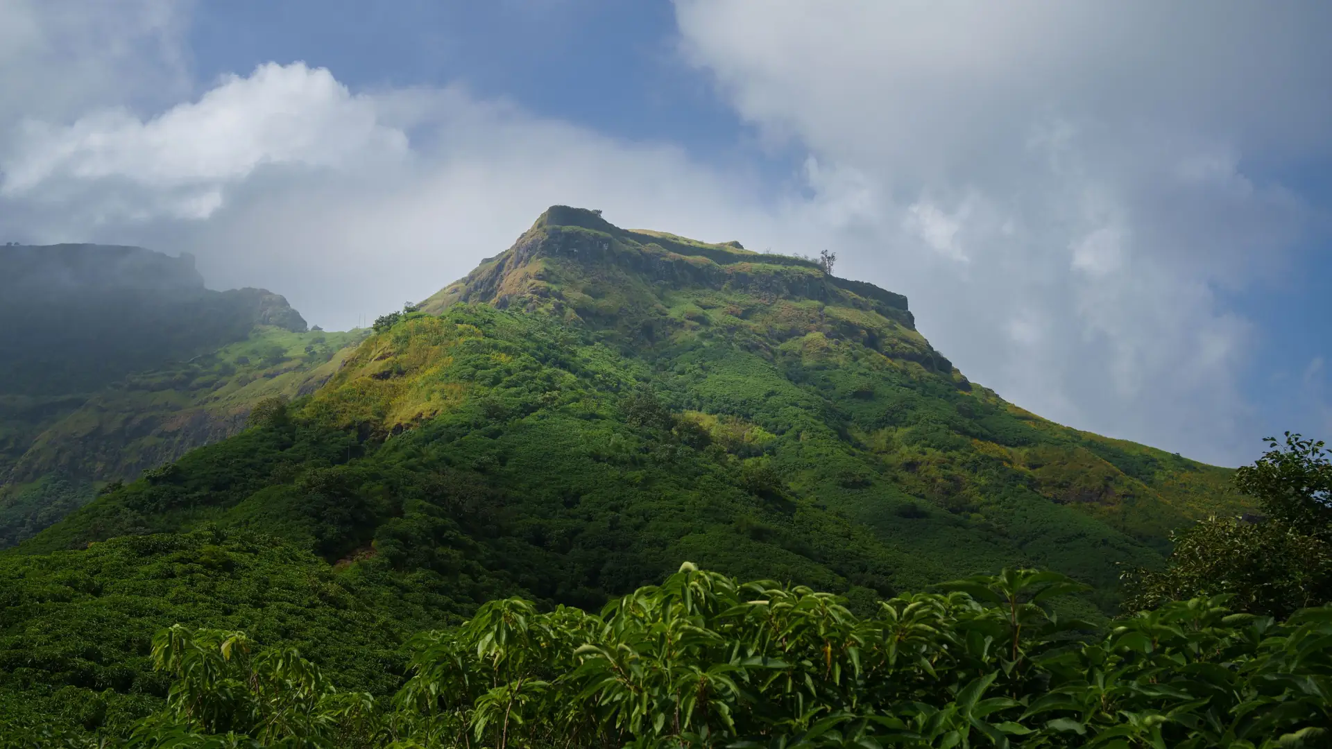 A breathtaking view of Rajgad Fort surrounded by lush greenery under a clear sky