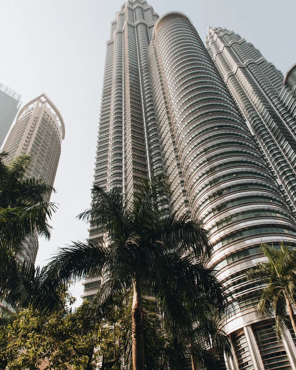 Low angle view of Petronas Towers, a landmark in Kuala Lumpur, Malaysia, framed by palm trees