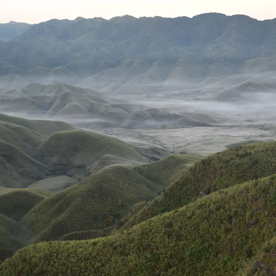 Breathtaking view of fog-laden rolling hills and valleys in Dzukou Valley, showcasing nature's tranquility
