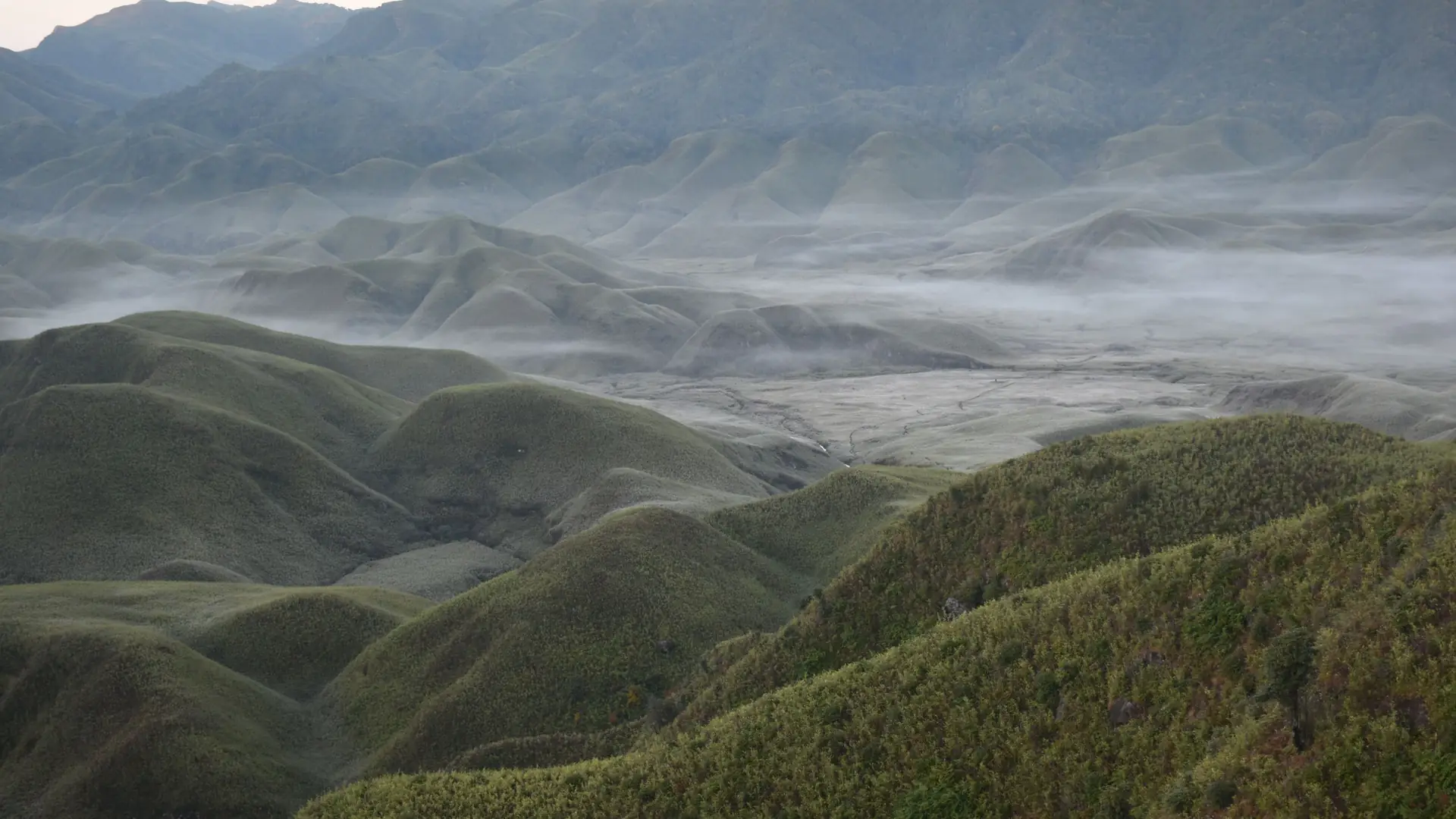 Breathtaking view of fog-laden rolling hills and valleys in Dzukou Valley, showcasing nature's tranquility