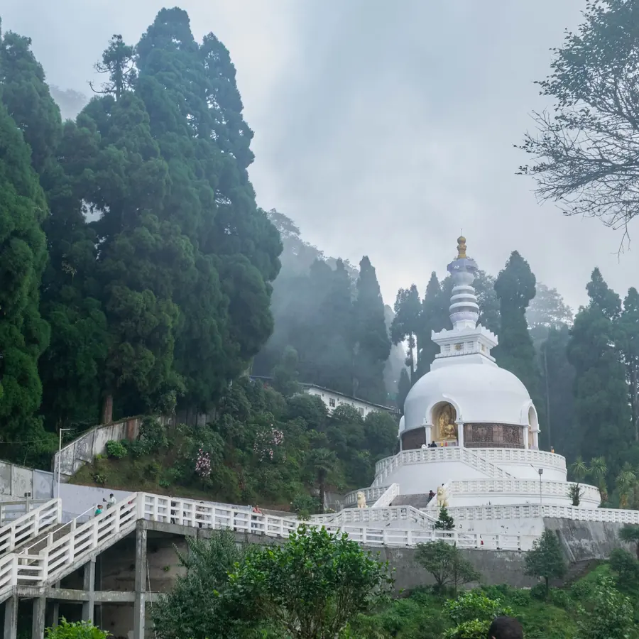 A serene view of the Peace Pagoda amid lush greenery in Darjeeling, India