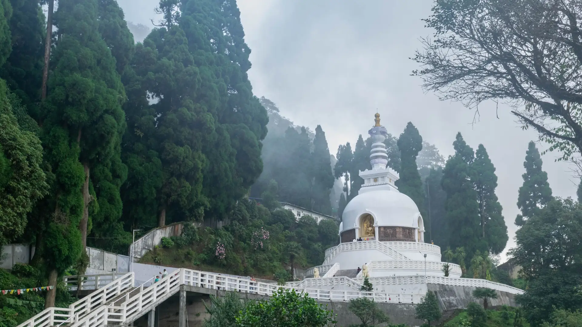 A serene view of the Peace Pagoda amid lush greenery in Darjeeling, India