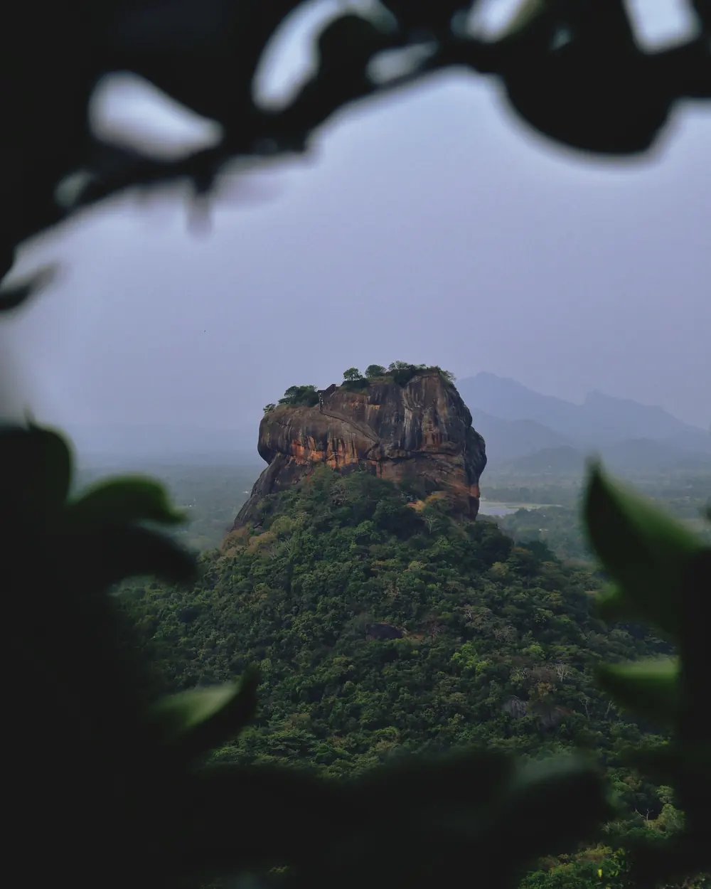 Explore the majestic Sigiriya Rock fortress surrounded by lush green forest in Sri Lanka