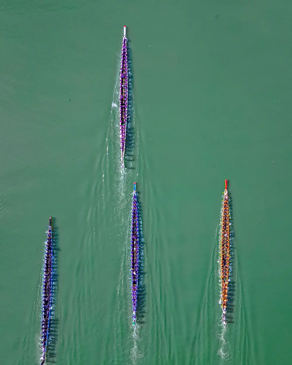 Aerial shot of colorful dragon boats racing on a green river in Tripura, India