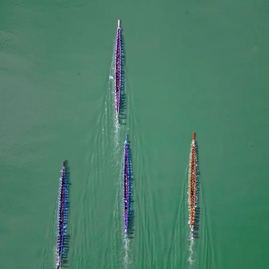 Aerial shot of colorful dragon boats racing on a green river in Tripura, India