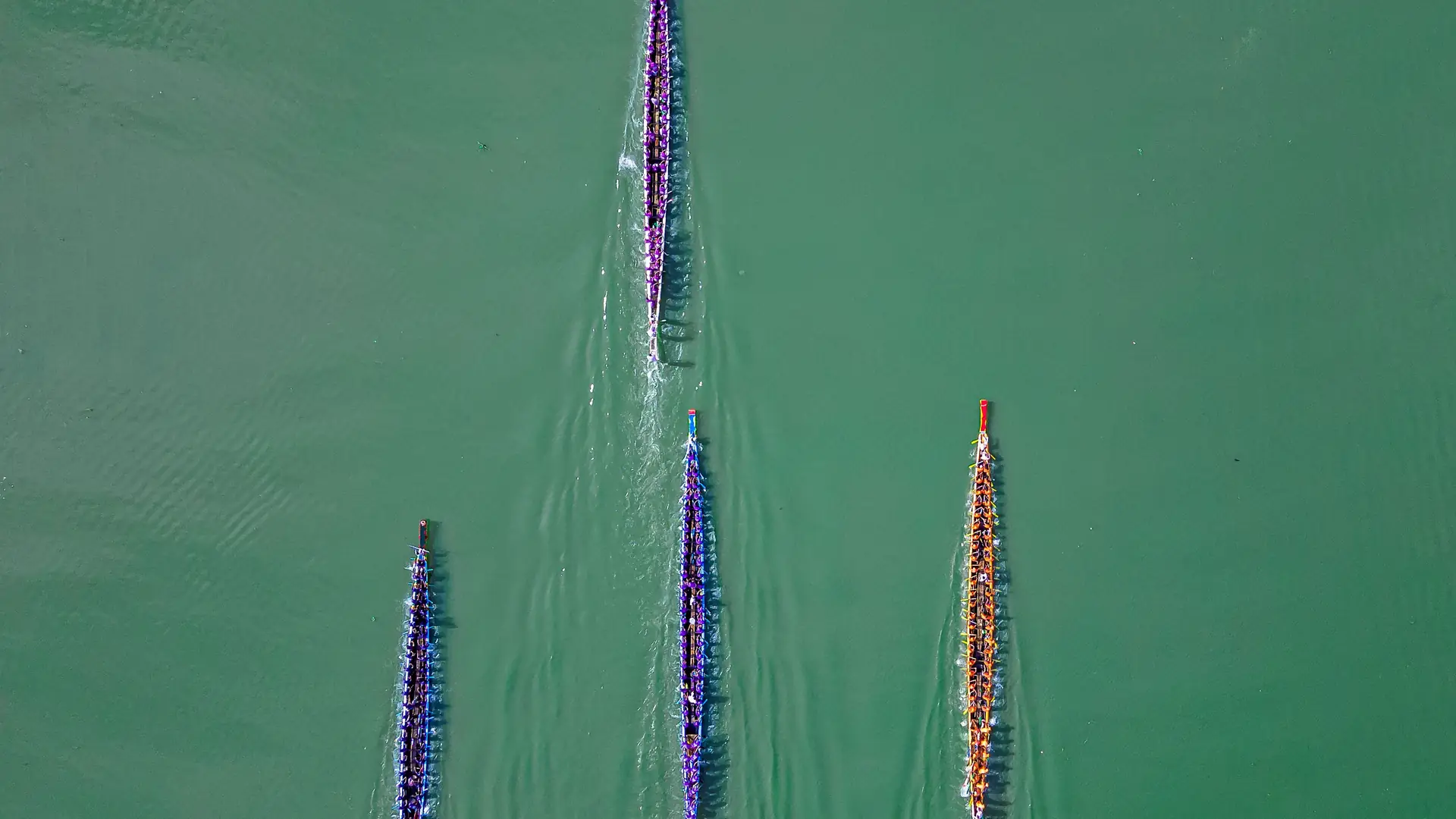 Aerial shot of colorful dragon boats racing on a green river in Tripura, India